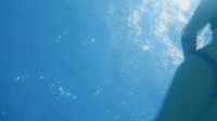 1786926136344109.webm