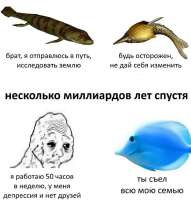 YS2TA83WWZY.jpg
