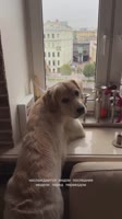 1788088074079.mp4