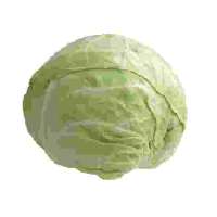 1749414313072.jpeg
