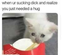 .jpg