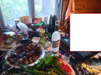 IMG20230701204328380.jpg
