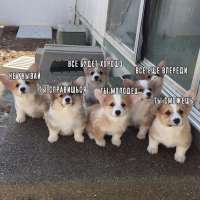 1647119103995.jpeg