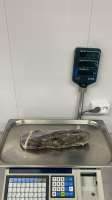 IMG-20250821-WA0000.jpg