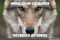 aa0c93dc89a06849a2c9350529a13b93.jpg