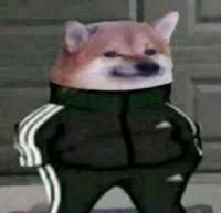 16945611749800.png