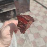 IMG20240814133235.jpeg