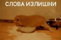 словаизлишни.gif