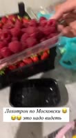 VID20250608065033335.mp4