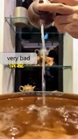 1-2.webm