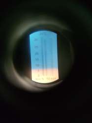 17471945340181.jpg