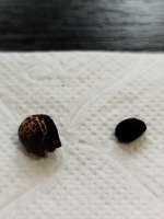 IMG20250606100322.jpg