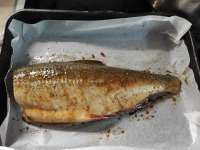 IMG20250608110106.jpg