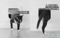12941095.jpg