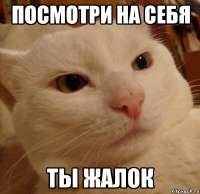 15280450222140.png