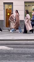 16851887555550.mp4