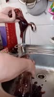 16797270336520.mp4