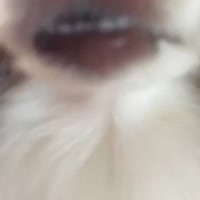 woof.mp4