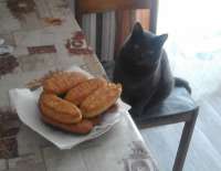IMG-20220220-WA00021.jpeg