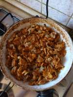 IMG-20250827-WA0000.jpg