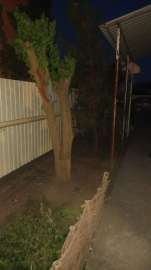IMG-20250517-WA0065TpVrDFkb9y.jpeg