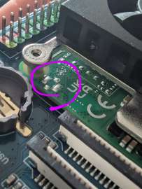 PXL20250701073812266~2.jpg