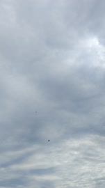 VID20250706181814.mp4