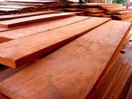 sapele.jpg