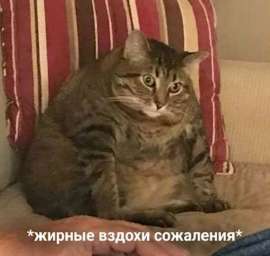 16441491097610.jpg