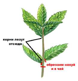 345645.jpg