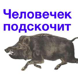 185630777477298922b3b29c7d84bad61d5f0ac38800.jpg