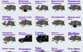 5b6b4d39801d421999cceae567a56fba.png