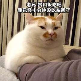 EPiCDMGxkWg.jpg