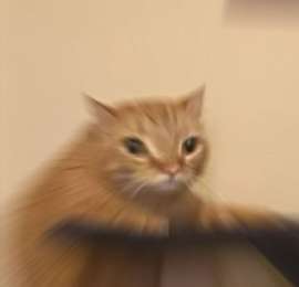 1748767882541.jpg