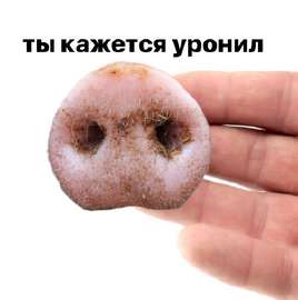 1748786185417.png