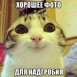 myB25TvFPgKfnyk0SOtsbmPjc-960.jpg