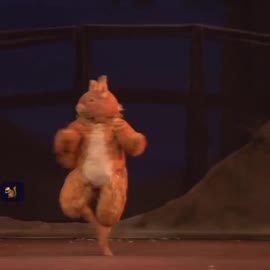 17492019989331.mp4