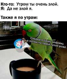 16741449534871.jpg