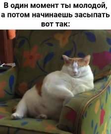 17478045199880.jpg
