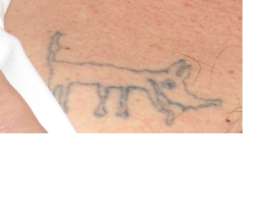 tatoo15259.jpg