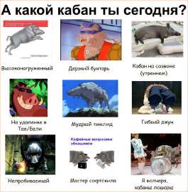 кабан.jpg