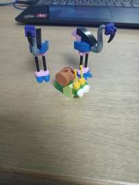 IMG20250916205425.jpg