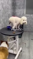 physics.mp4