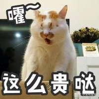 v2-9ff94390b0d872b6d6bcd46d3bceef6fb.jpg