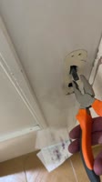 IMG7922.MOV