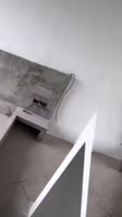 175176646810513999.mp4