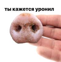 .png