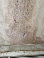 IMG20250727211741650.jpg