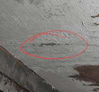 IMG20250727211744549.jpg