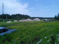 IMG20150621114742.jpg